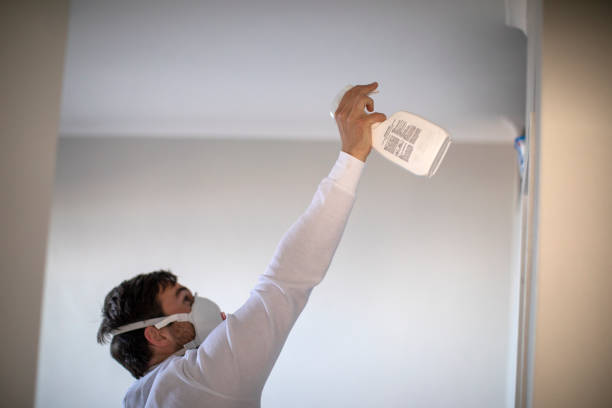 Best Post-Remediation Services in Homer, GA