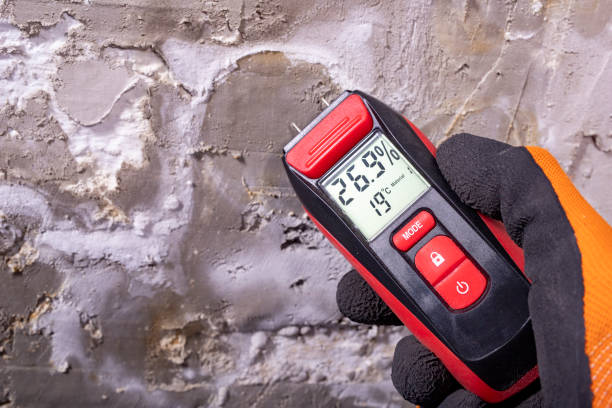Best Commercial Mold Remediation in Homer, GA